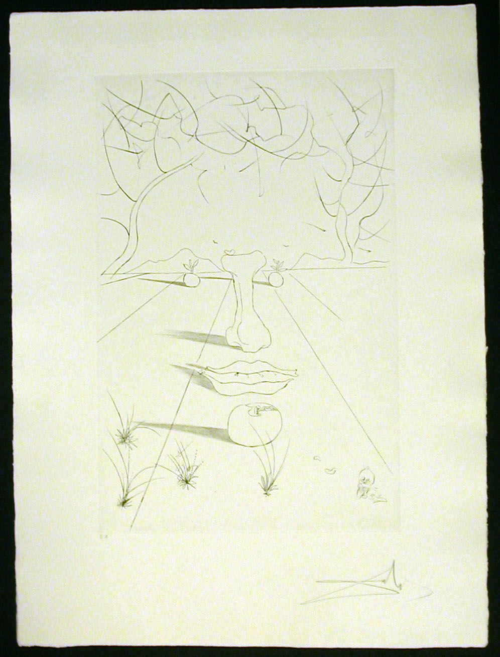 Salvador Dali - Aurelia - Visage Surrealiste