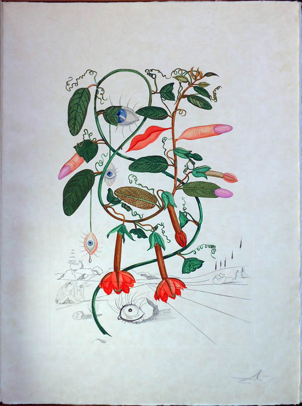 Salvador Dali - Flora Dalinae (FlorDali) - Pisum Sensuale(Cobea, Les Levres, Lips)