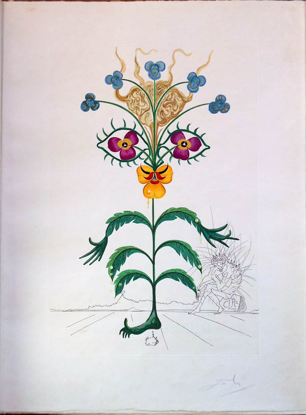 Salvador Dali - Flora Dalinae (FlorDali) - Viola Cogitans(Self portrait Pansy)