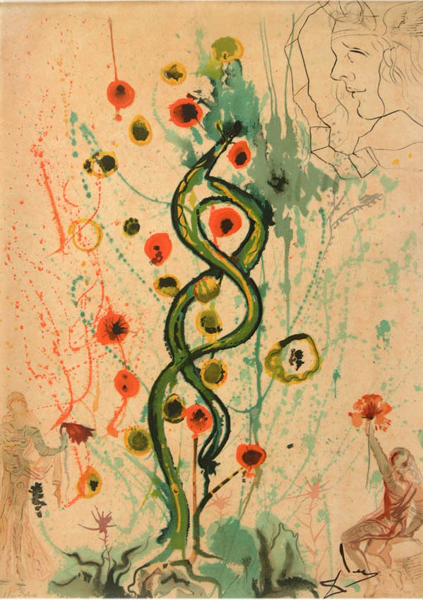 Salvador Dali - Alchimie des Philosophes - The Dream of the Alchemist