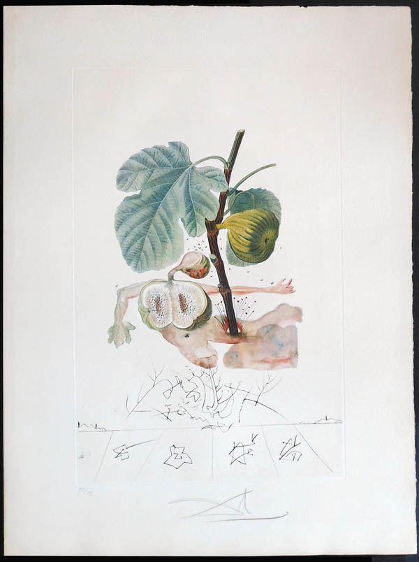 Salvador Dali - FlorDali (Les Fruits) - FlorDali Fig