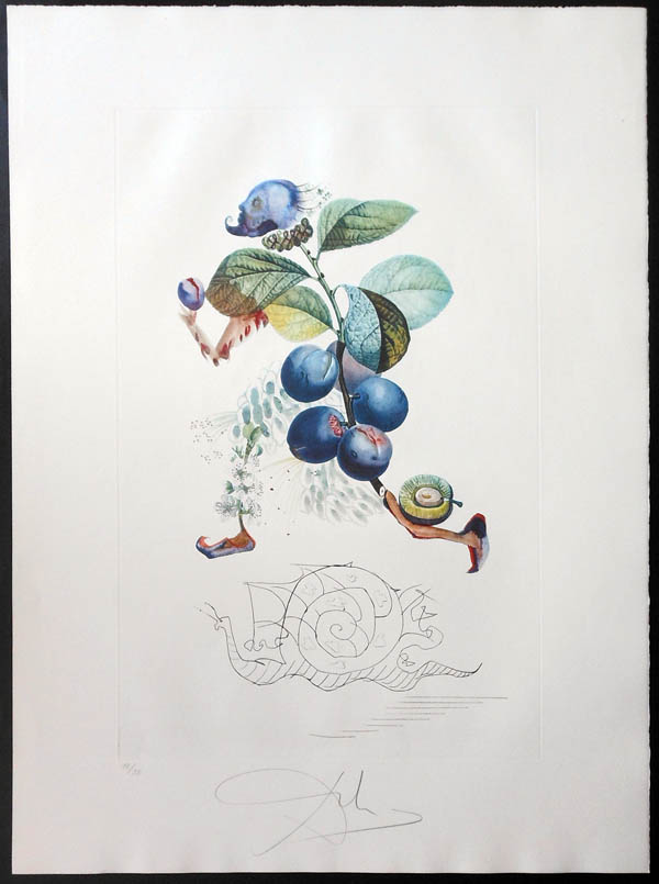 Salvador Dali - FlorDali (Les Fruits) - FlorDali Plum