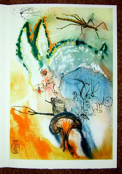 Salvador Dali - Alice in Wonderland - Down the Rabbit Hole