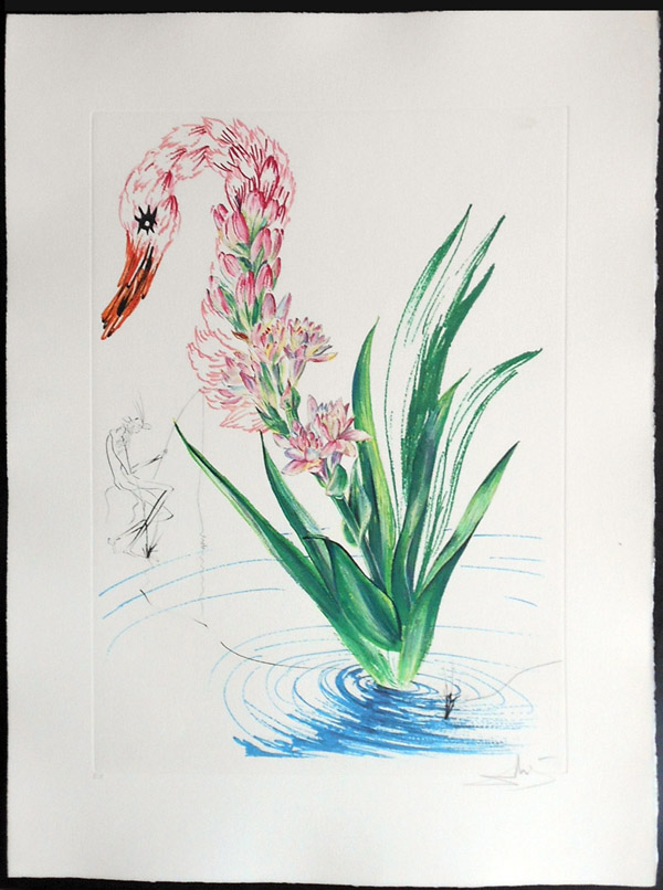 Salvador Dali - Surrealist Flowers, Florals - Water-hybiscus + swan, C