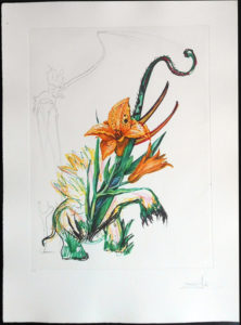 Salvador Dali - Surrealist Flowers, Florals - Lily + elephant, D