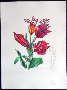 Salvador Dali - Surrealist Flowers, Florals - Tulips + Lips, E