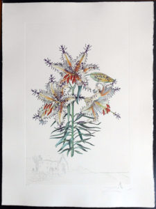 Salvador Dali - Surrealist Flowers, Florals - Lily + Ants, K